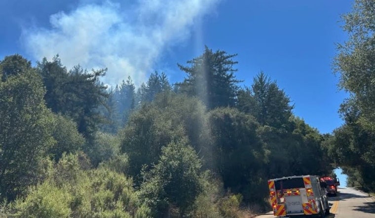Man Living in Tent Above Scotts Valley Confesses to Setting Hillside Fires