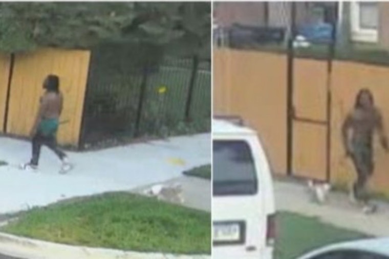 Man Walking Small Dog Ties Five West Humboldt Park Car Break-Ins to Knifepoint Robbery