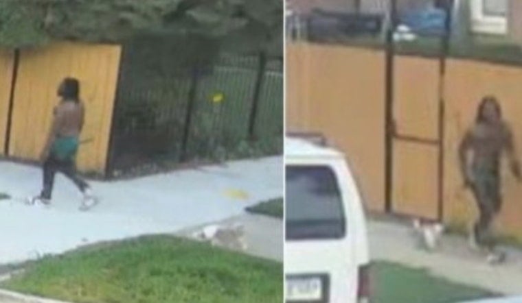 Man Walking Small Dog Ties Five West Humboldt Park Car Break-Ins to Knifepoint Robbery
