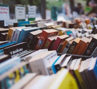 Mandarin's New Daisy Chain Book Co. Pours Wine With Its Reading Nooks