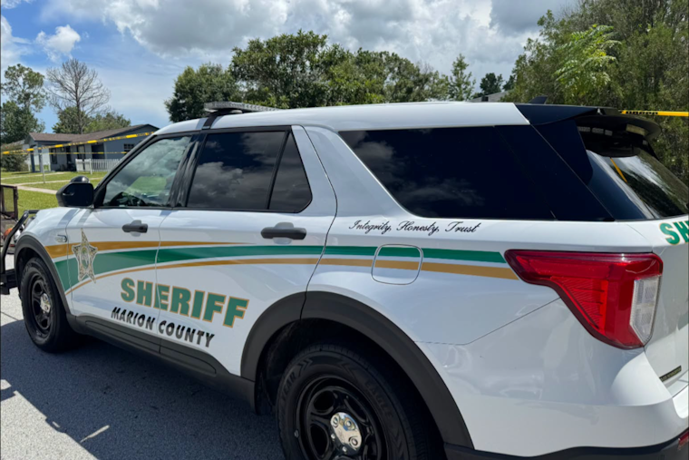 Marion County Dog Rescued From Sinkhole in Florida