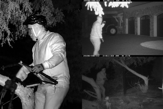 Masked Man in Helmet Hauls Hunting Chair in Bizarre 3 A.M. Visit to Weston Home