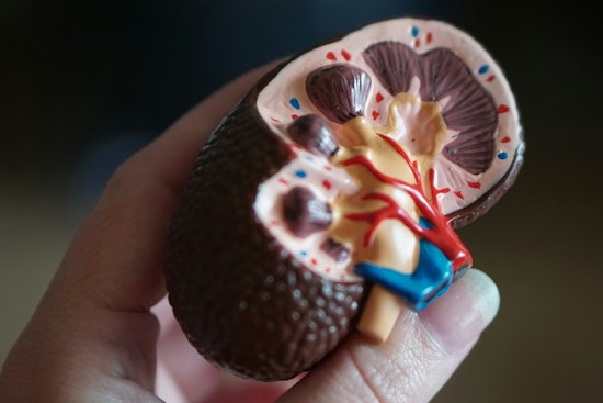 Massapequa Mom Battling Renal Failure Again Pleads for a Living Kidney Donor