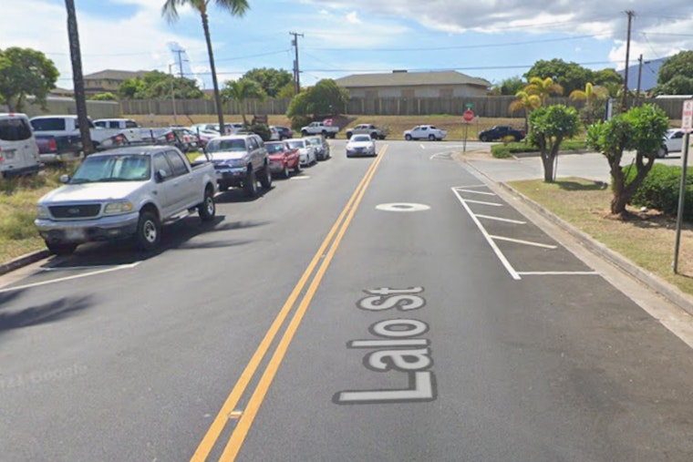 Maui Cat Rescuer Alfred Kailihiwa Beaten to Death, Two Charged With Murder