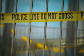 Meadow Vista 14-Month-Old Killed When Dad’s Pickup Strikes Child in Family Driveway