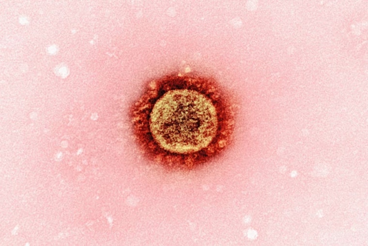 Measles Exposure Confirmed at UH Rainbow, Cleveland Medical Center, Pennsylvania Visitor Blamed