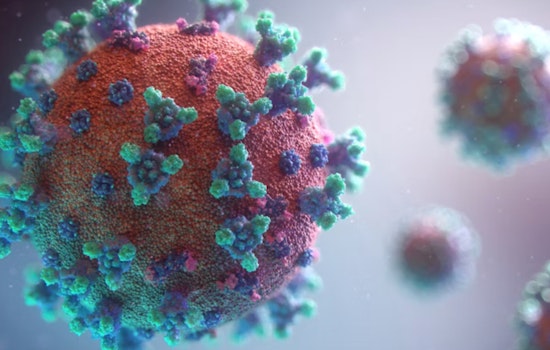 Measles Returns to Lehigh Valley as Pennsylvania Outbreak Explodes