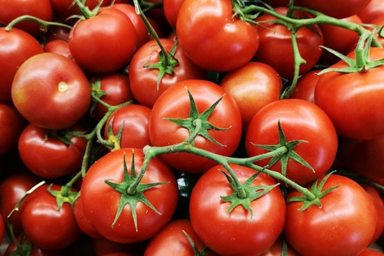 Memphis's First Tomato Festival Hits the Edge District With Free Food, Art, Tattoos