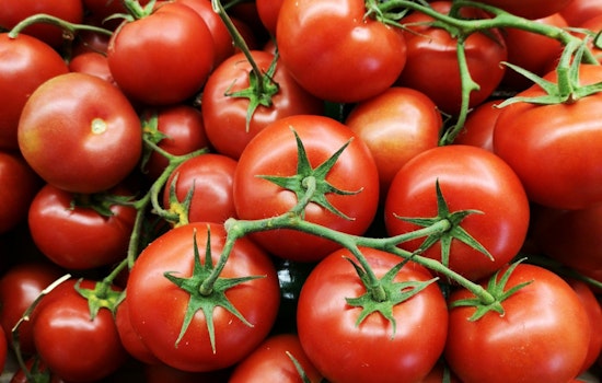 Memphis's First Tomato Festival Hits the Edge District With Free Food, Art, Tattoos