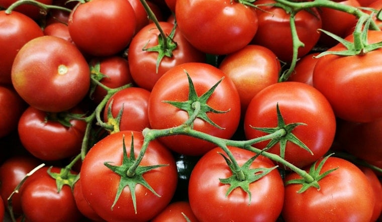 Memphis's First Tomato Festival Hits the Edge District With Free Food, Art, Tattoos