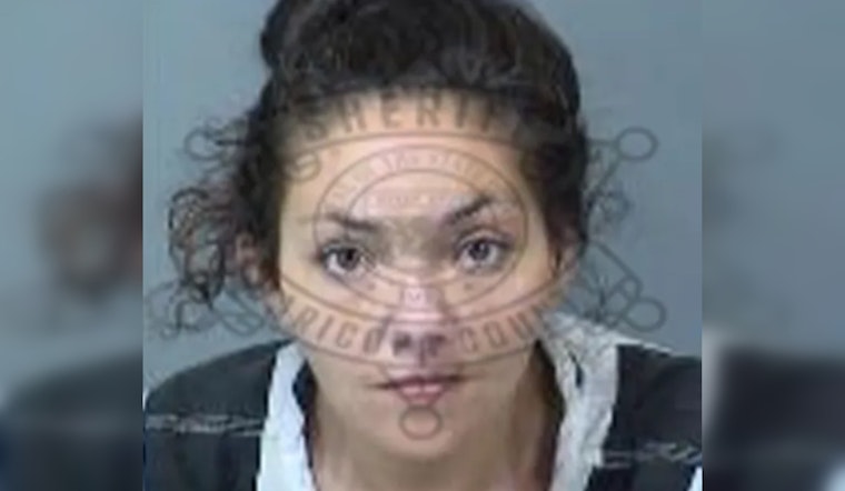 Mesa Mom Re-Arrested After Toddler Found Drugged in 111°F Garage