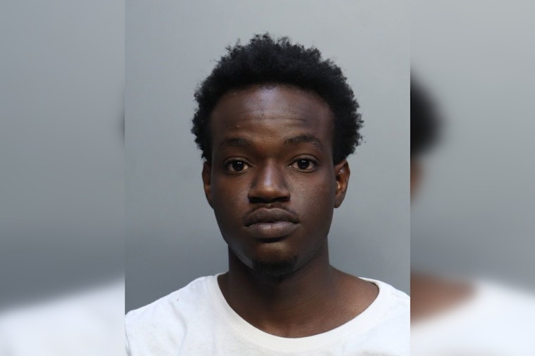 Miami-Dade Teen Charged With 84 Counts In $100K Honda Airbag Theft Spree