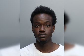 Miami-Dade Teen Charged With 84 Counts In $100K Honda Airbag Theft Spree
