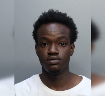 Miami-Dade Teen Charged With 84 Counts In $100K Honda Airbag Theft Spree