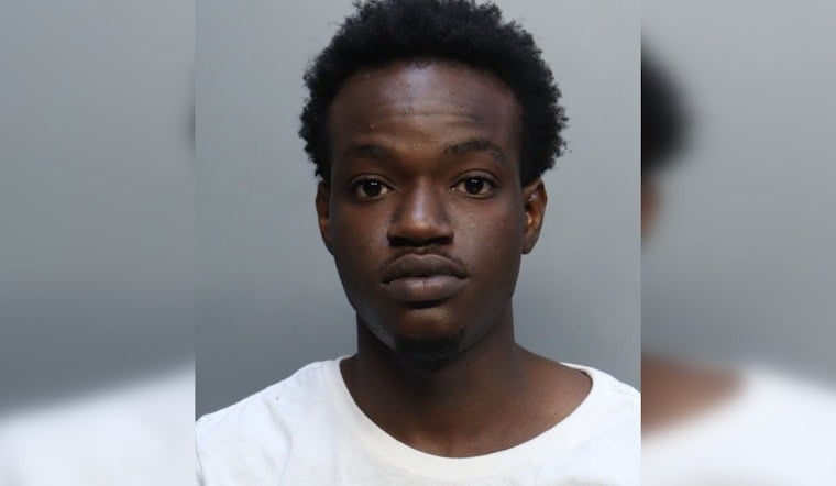 Miami-Dade Teen Charged With 84 Counts In $100K Honda Airbag Theft Spree