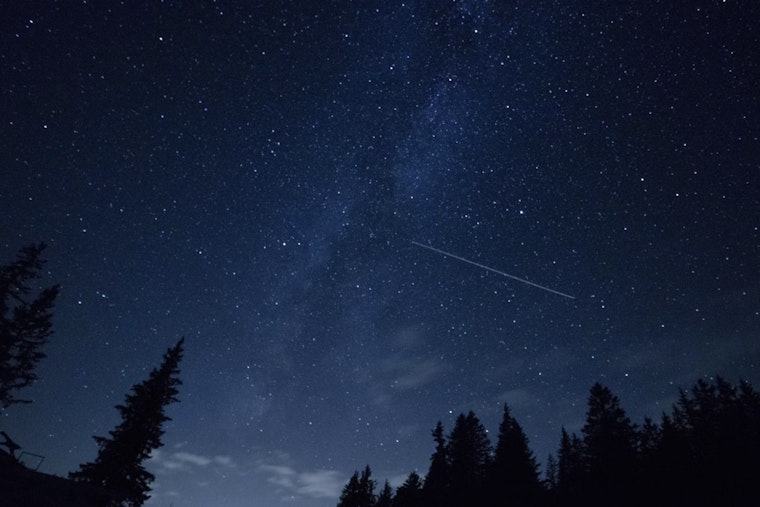 Miami Sky Lights Up With Meteors During Peak Perseid Show Amid Brutal Heat