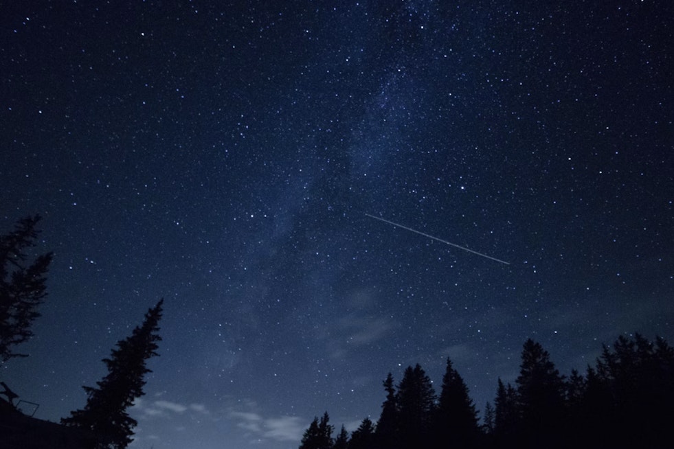Miami Sky Lights Up With Meteors During Peak Perseid Show Amid Brutal Heat
