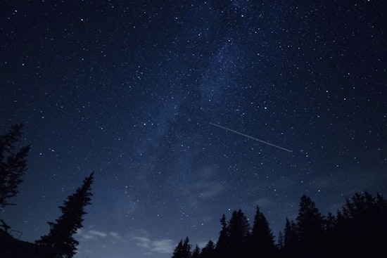 Miami Sky Lights Up With Meteors During Peak Perseid Show Amid Brutal Heat