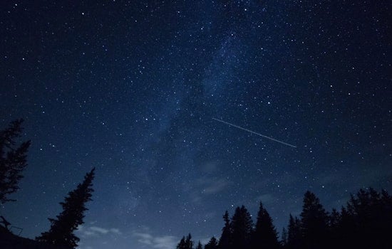 Miami Sky Lights Up With Meteors During Peak Perseid Show Amid Brutal Heat