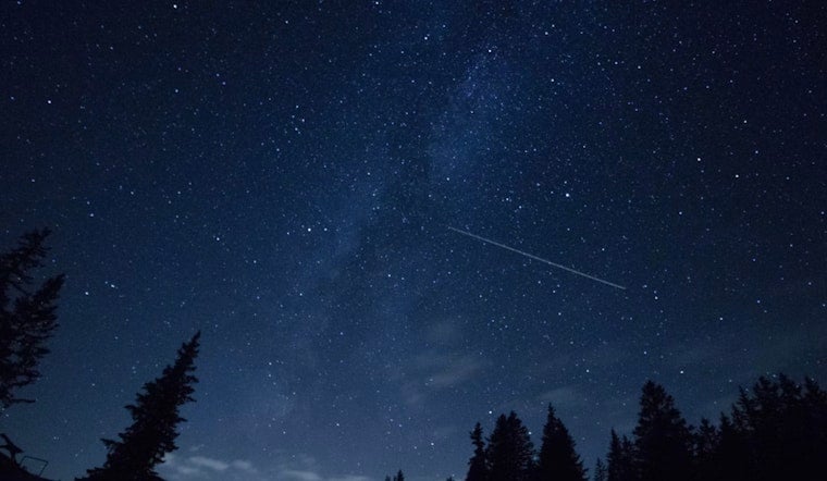 Miami Sky Lights Up With Meteors During Peak Perseid Show Amid Brutal Heat