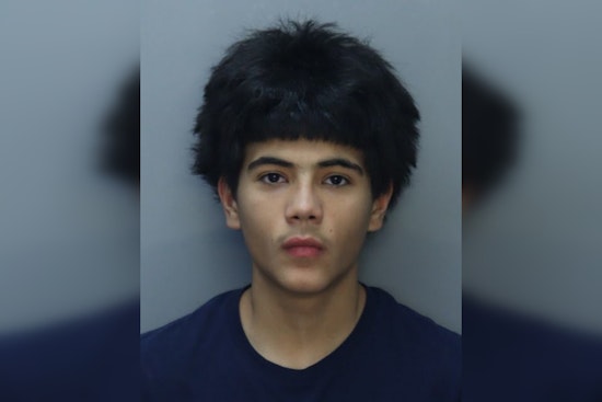 Miami Teen, 17, Charged as Adult in Berry Farm Shooting, Bathroom Robberies