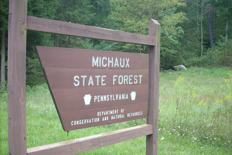 Michaux State Forest Dumpers Leave Behind Nearly 3,000 Pounds of Trash