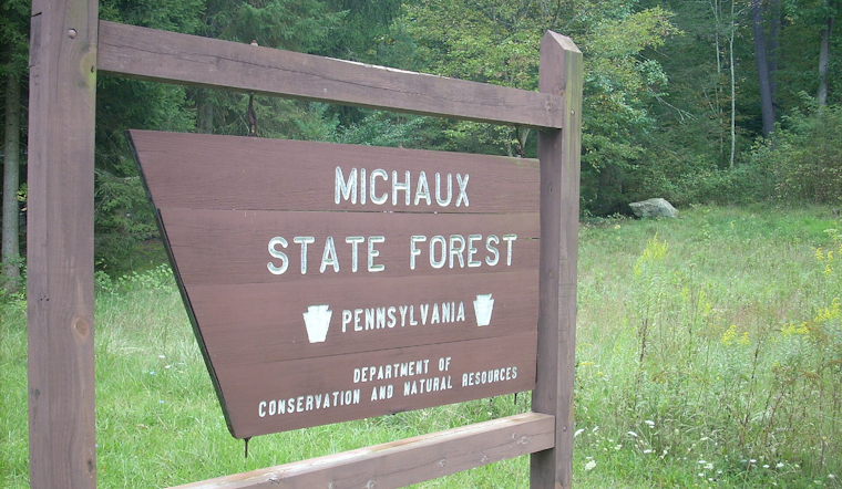Michaux State Forest Dumpers Leave Behind Nearly 3,000 Pounds of Trash