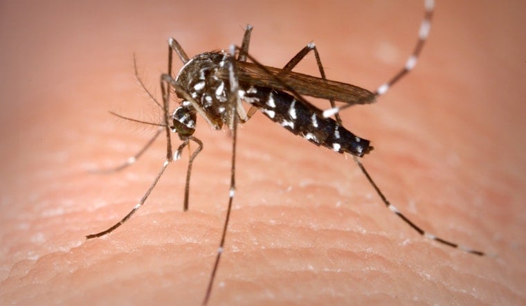 Middlesex Man in His 90s Is Massachusetts' First West Nile Case of 2026