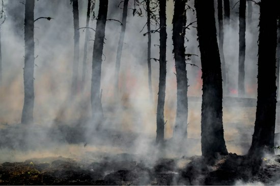 Mill Creek 4 Fire Sparks Pre-Evacuation Alert North of Hayden