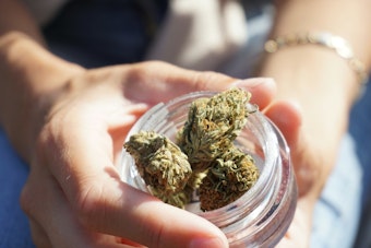 Minnesota Tribes Cash In on Off-Reservation Cannabis Stores as Other States Take Notes