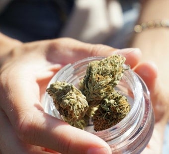 Minnesota Tribes Cash In on Off-Reservation Cannabis Stores as Other States Take Notes