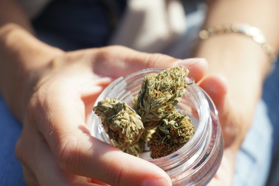 Minnesota Tribes Cash In on Off-Reservation Cannabis Stores as Other States Take Notes