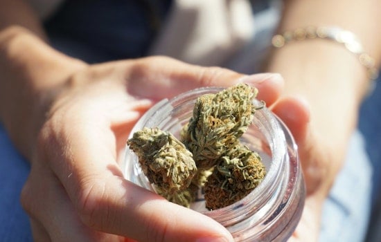 Minnesota Tribes Cash In on Off-Reservation Cannabis Stores as Other States Take Notes