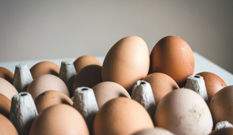 Minnesota's New Egg Law Lets Grocers Donate Cartons Food Shelves Once Had to Toss
