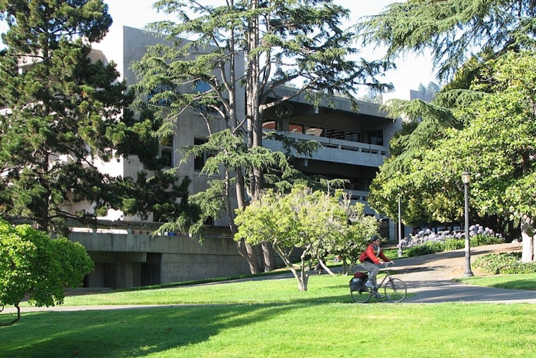 Moffitt Library Reopens at UC Berkeley With Sleeping Cocoons, Zero Books