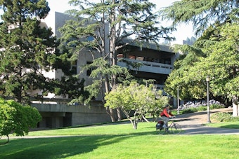 Moffitt Library Reopens at UC Berkeley With Sleeping Cocoons, Zero Books