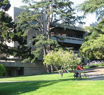 Moffitt Library Reopens at UC Berkeley With Sleeping Cocoons, Zero Books
