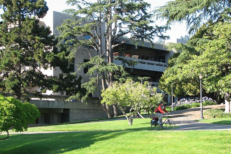 Moffitt Library Reopens at UC Berkeley With Sleeping Cocoons, Zero Books