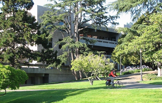 Moffitt Library Reopens at UC Berkeley With Sleeping Cocoons, Zero Books