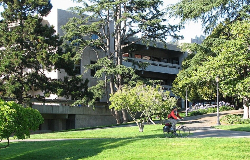 Moffitt Library Reopens at UC Berkeley With Sleeping Cocoons, Zero Books