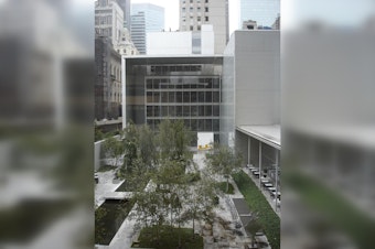 MoMA's Midtown Sculpture Garden Turns Into Outdoor Cinema, Opens With Denzel Classic