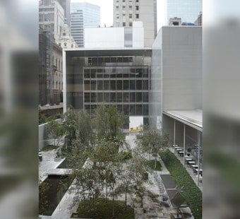 MoMA's Midtown Sculpture Garden Turns Into Outdoor Cinema, Opens With Denzel Classic