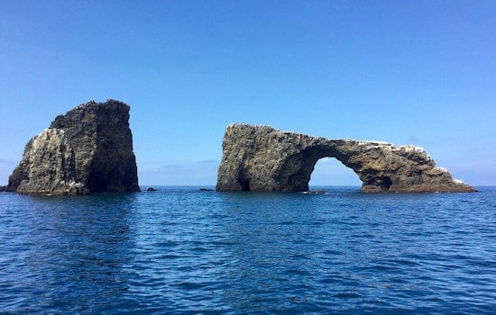 Monterey Bay Scientists Spot Bizarre Glowing 'Tadpole' Lurking 6,500 Feet Deep