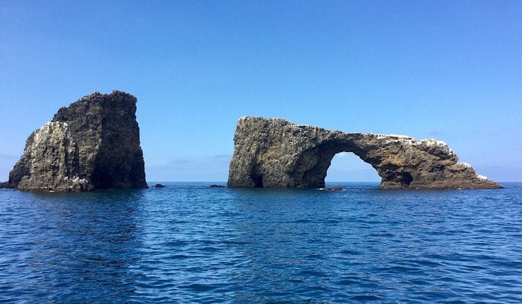 Monterey Bay Scientists Spot Bizarre Glowing 'Tadpole' Lurking 6,500 Feet Deep