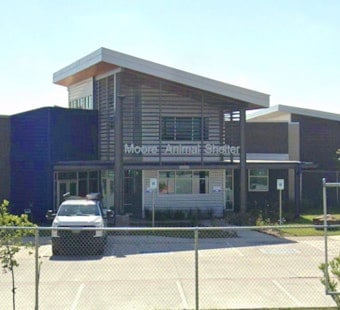 Moore City Council Weighs Outside Legal Probe of 'Hostile' Animal Shelter