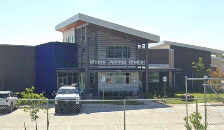 Moore City Council Weighs Outside Legal Probe of 'Hostile' Animal Shelter