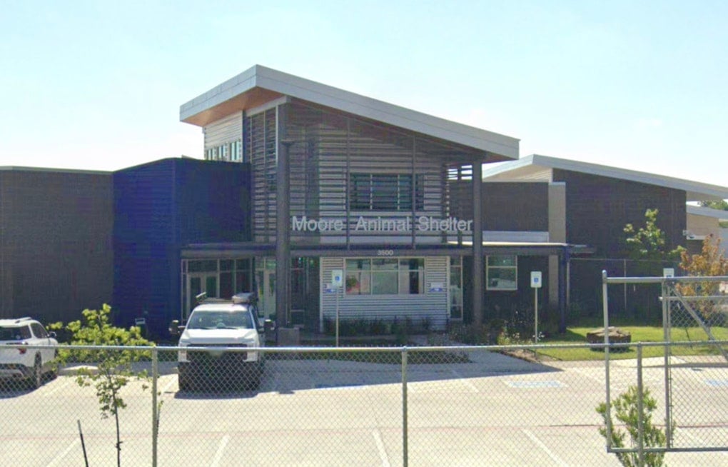 Moore City Council Weighs Outside Legal Probe of 'Hostile' Animal Shelter