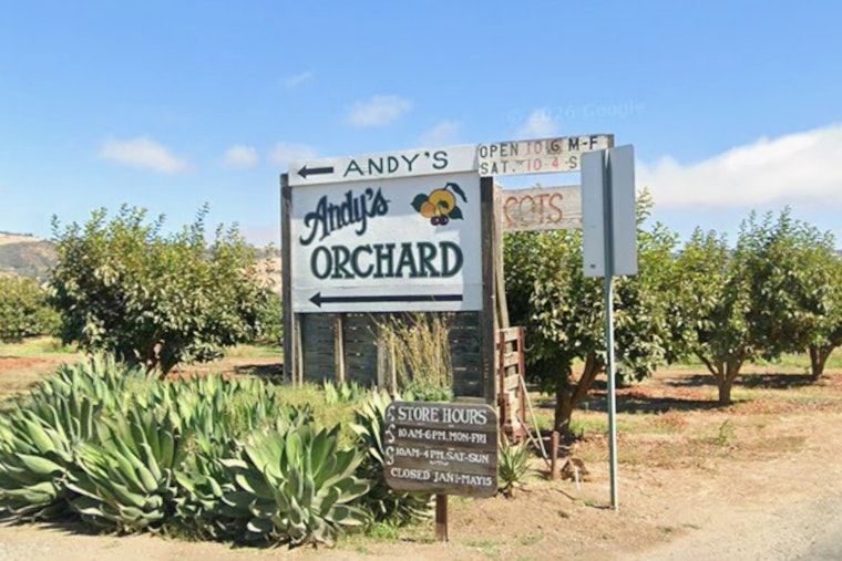 Morgan Hill's Last Fruit Orchard Faces the Bulldozer After 80-Year-Old Farmer Says Enough