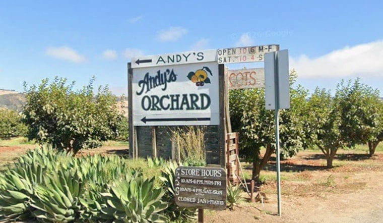 Morgan Hill's Last Fruit Orchard Faces the Bulldozer After 80-Year-Old Farmer Says Enough
