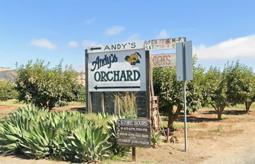 Morgan Hill's Last Fruit Orchard Faces the Bulldozer After 80-Year-Old Farmer Says Enough